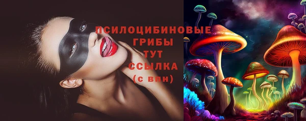 шишки Пролетарск