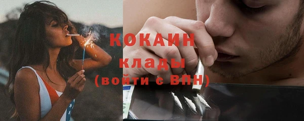 шишки Пролетарск