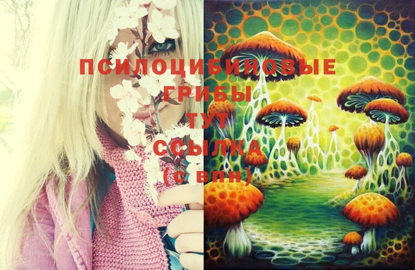 шишки Пролетарск