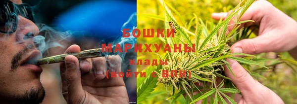 шишки Пролетарск