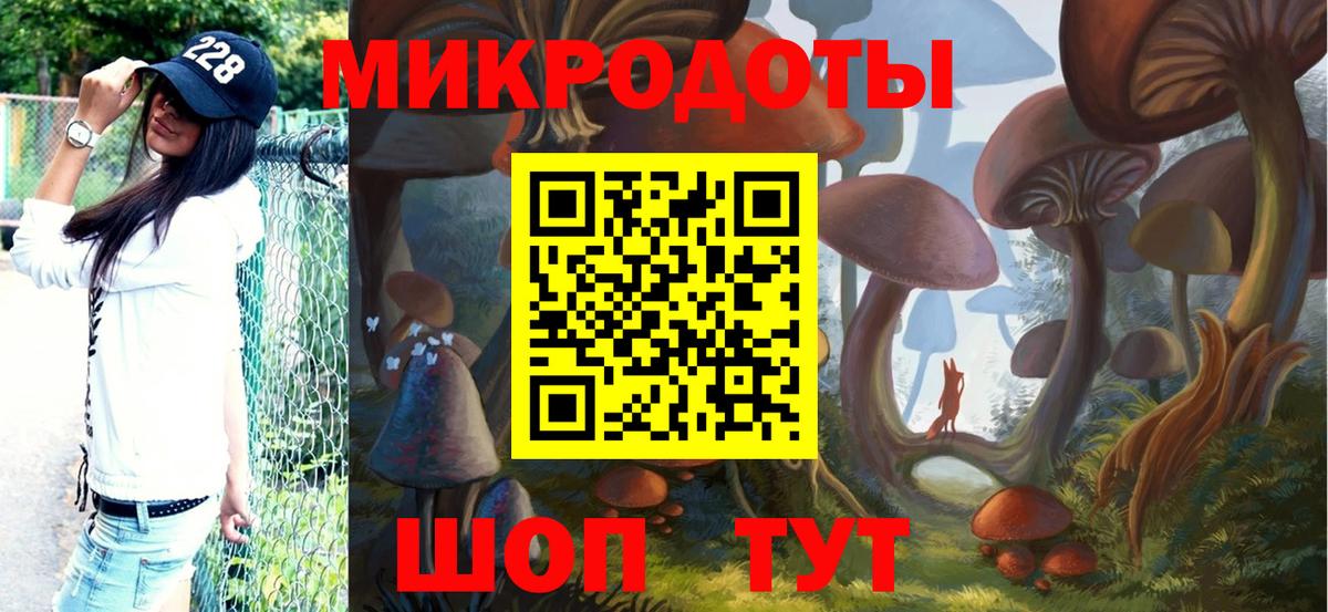 Галлюциногенные грибы Psilocybine cubensis Дербент