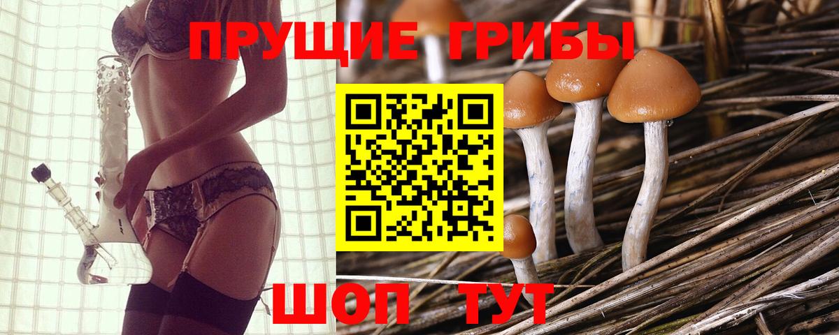 Галлюциногенные грибы GOLDEN TEACHER  Псилоцибиновые грибы GOLDEN TEACHER  Вход с VPN  Дербент 