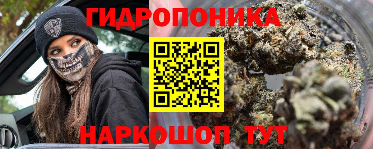Бошки марихуана Bruce Banner  Вход с VPN  Марихуана планчик  Дербент 